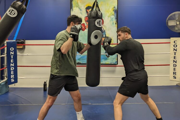 Boxing (Handpads) Dev Ash