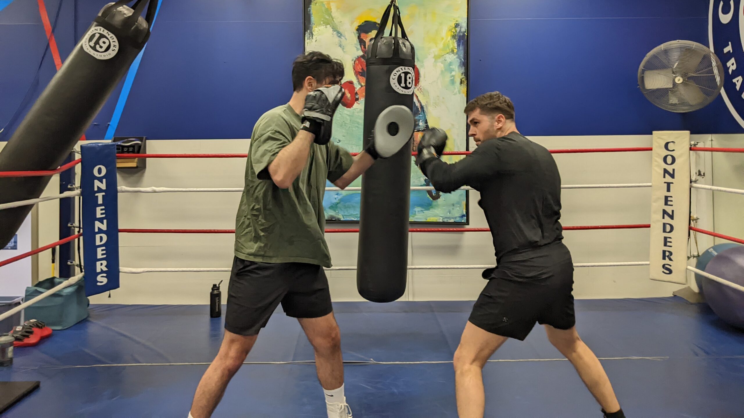 Boxing (Handpads) Dev Ash