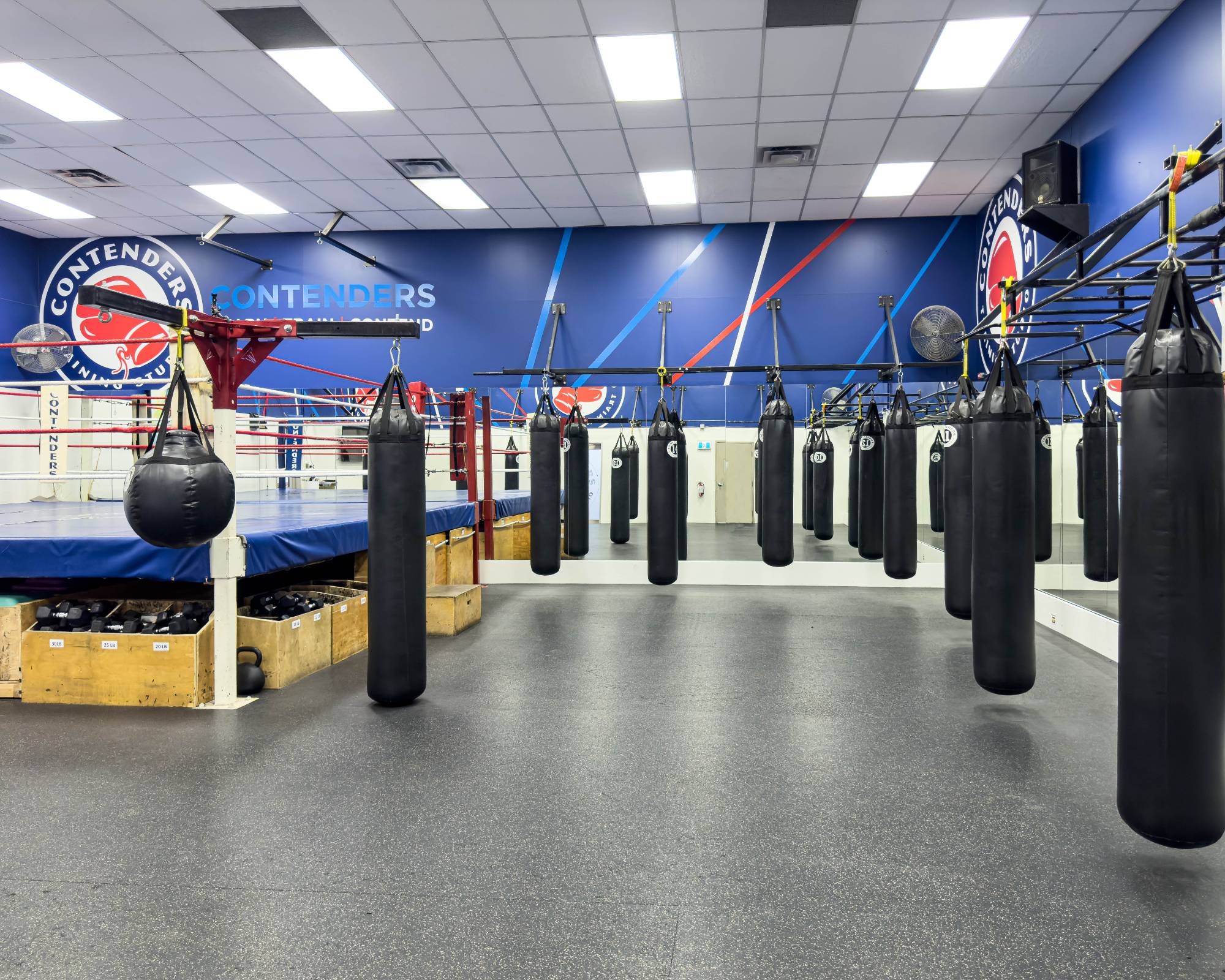 Boxing Gym cardio fitness section